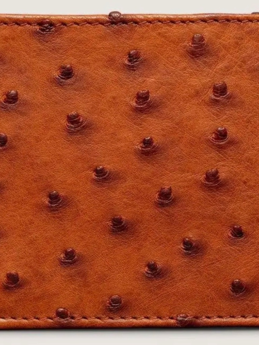 Men’s Wallet